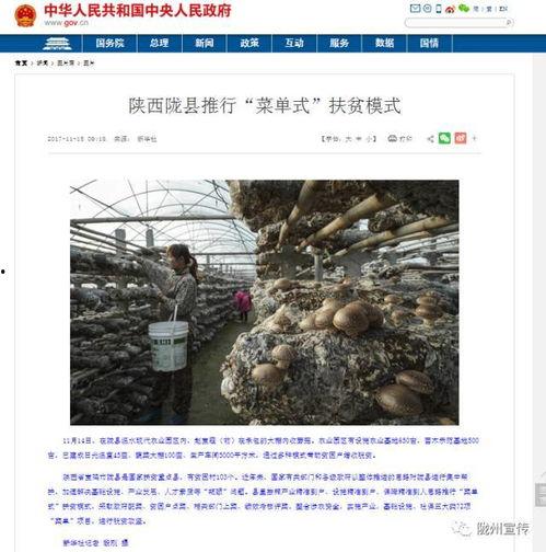 陇县新闻爆料网站查询,揭秘陇县最新动态，热点事件一网打尽